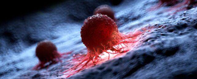 CancerCellsRedOnBlueBackground1042x415-642x260-1-1.jpg
