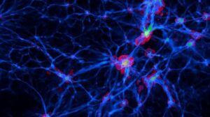 Estratto ancora dalla simulazione del video del campo magnetico della rete cosmica