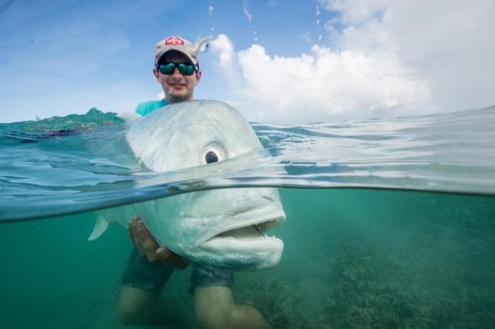 Giant-Trevally-777x518-1-1.jpg