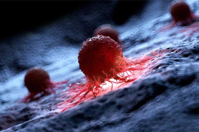 Human-Cancer-Cell-Illustration-777x518-2-1.jpg