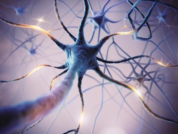 Neuron-Illustration-777x583-1-1.jpg