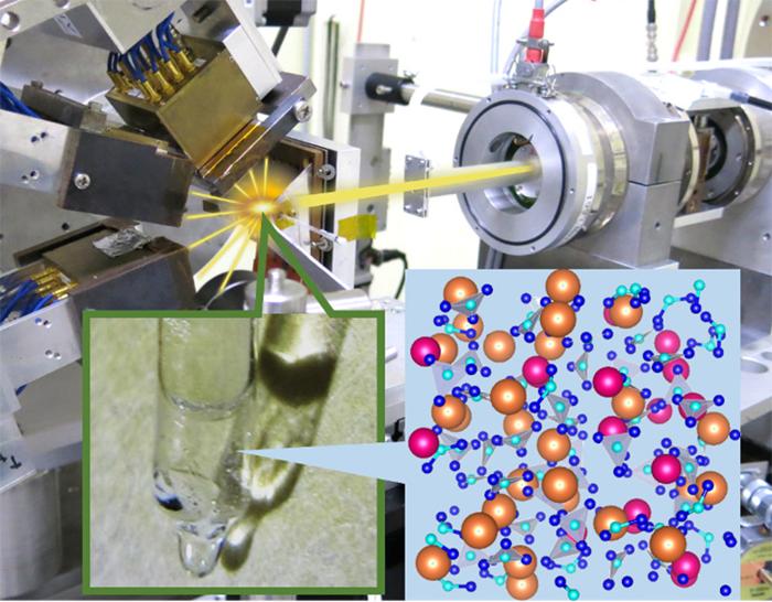 Schema della Struttura del Vetro Ionico Modello Apparato Sperimentale e Campione