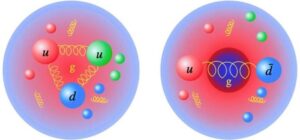 Distribuzione spaziale bidimensionale di massa dovuta ai gluoni nel nucleone e nel pione