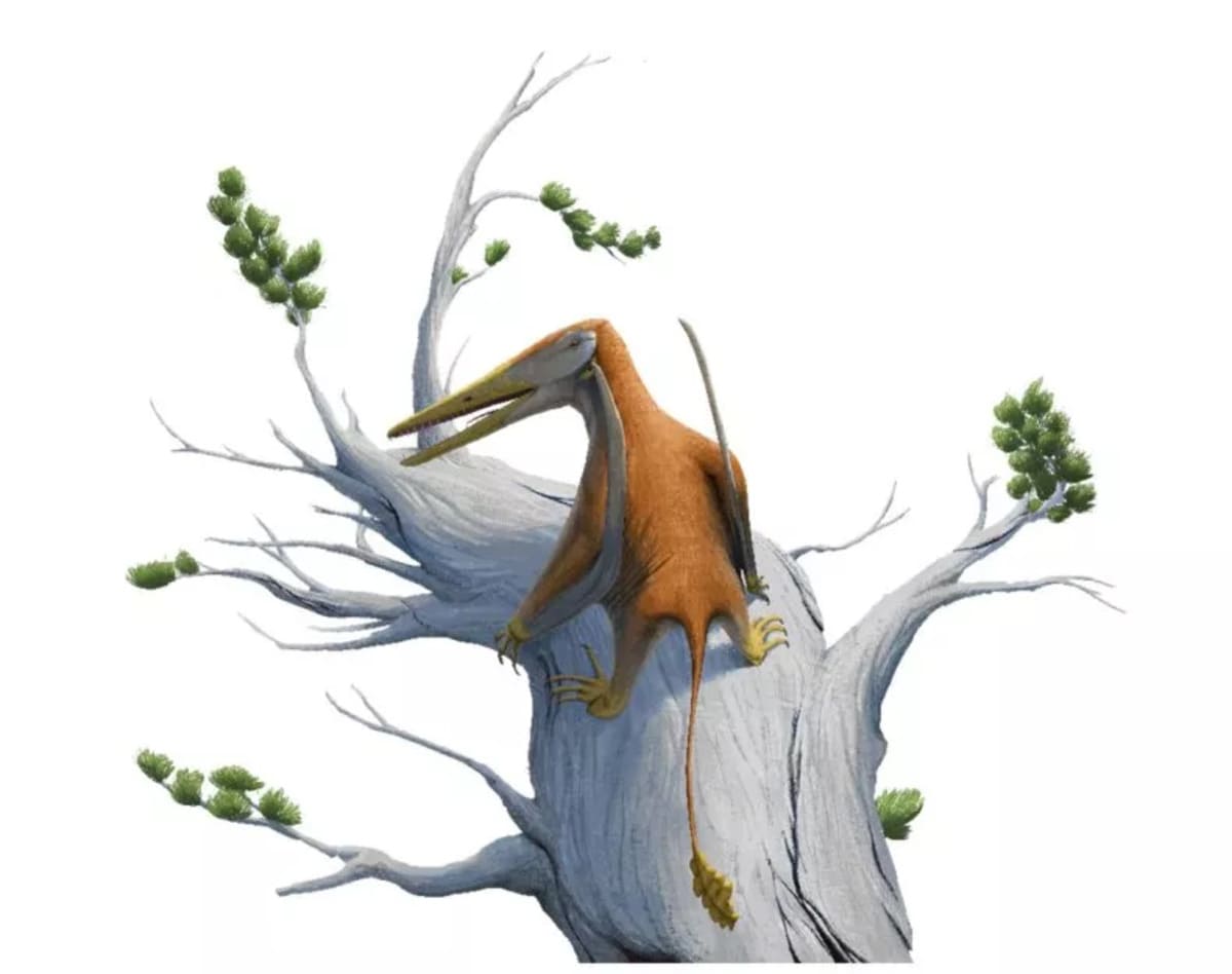 artists-reconstruction-melkamter-pateko-1-1-1.jpg