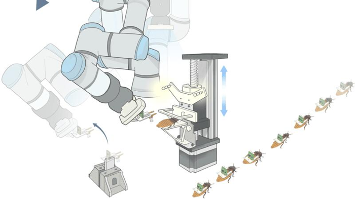 insect-cyborg-factory-m-1.png