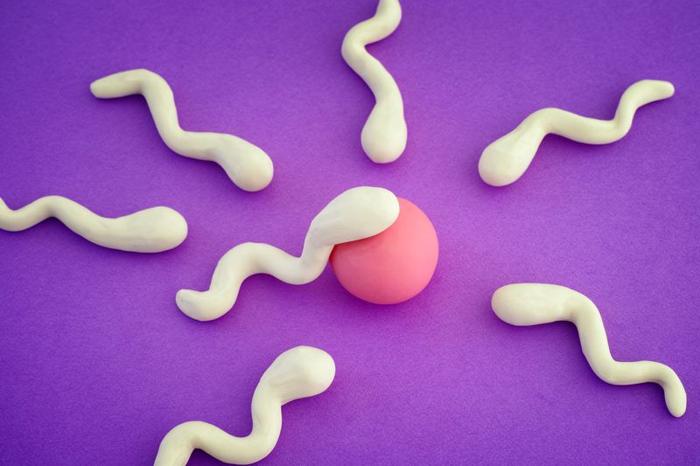 sperm-m-1.jpg