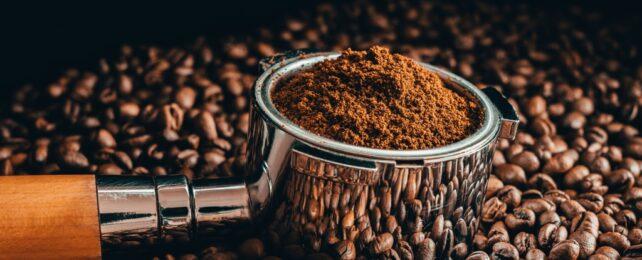 GroundCoffeeOnBeans-642x260-1-1.jpg