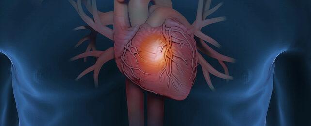 HeartGraphic-642x260-1-1.jpg
