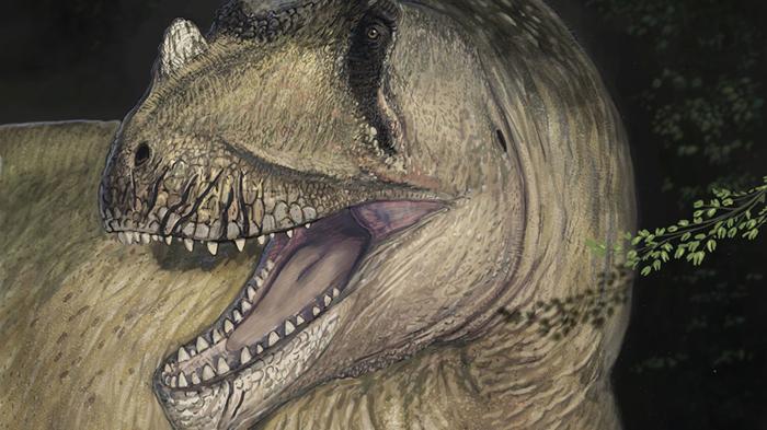 Fossile di dinosauro perso dalla Seconda Guerra Mondiale nominato nuova specie che visse 95 milioni di anni fa