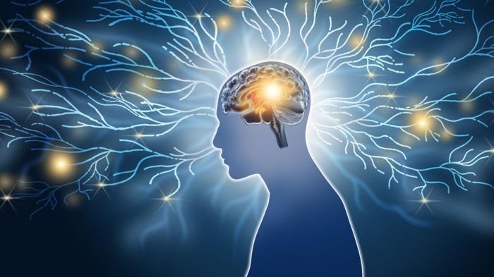 Il Regno Unito pianifica una sperimentazione umana del chip cerebrale più avanzato al mondo per ansia e depressione