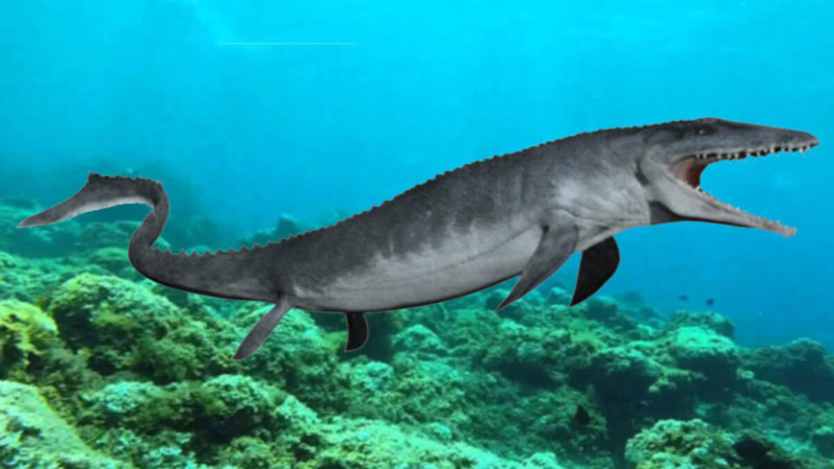 Mosasauro-mosasaurus-dinosauro-marino-768x480-1-1.jpg