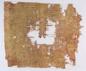 Cotone di Papyrus