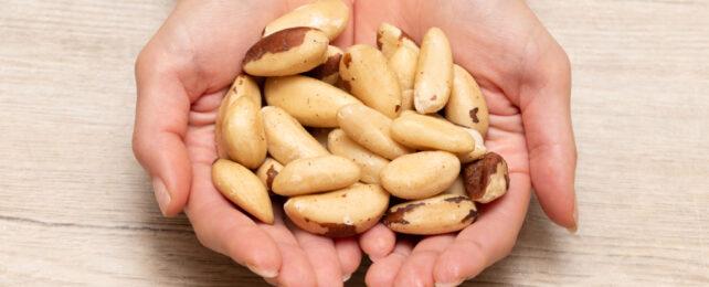 brazil_nuts_header-642x260-1.jpg