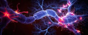 impressione artistica neurone