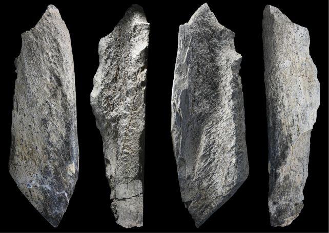 Questi sono strumenti in osso realizzati dall'uomo risalenti a 1,5 milioni di anni fa