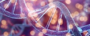 grafica del DNA