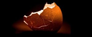 Un scienziato alimentare spiega il modo migliore per sbucciare un uovo sodo