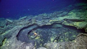 Il vulcano sottomarino al largo dell'Oregon sta di nuovo brontolando, probabile che erutti da un momento all'altro