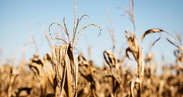 L'Atmosfera della Terra Sta Diventando Sempre Più Assetata, e Questo Sta Peggiorando le Siccità