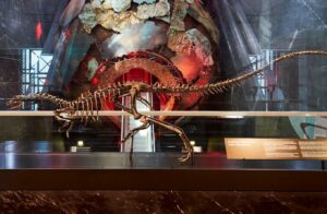Il nuovo dinosauro scoperto