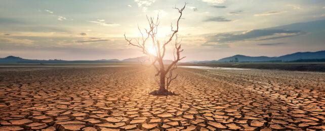 drought-642x260-1.jpg