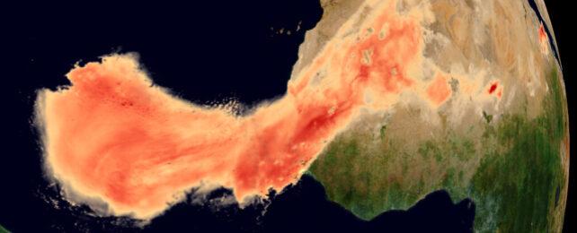 dust_sahara_2020_header-642x260-1.jpg