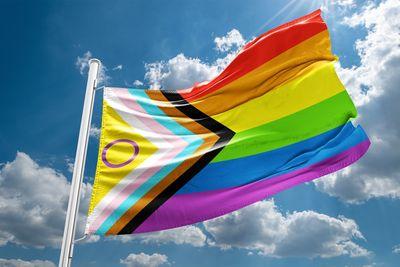 intersex-pride-flag-s.jpg