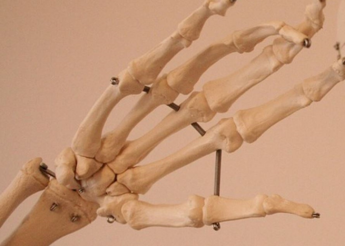 mano-ossa.jpg