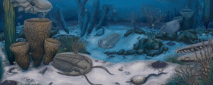 Fossili mozzafiato del Grand Canyon rivelano gli strani esperimenti dell'evoluzione