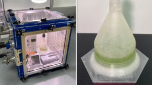 Harvard coltiva alghe in condizioni simili a quelle di Marte, alimentando le speranze di vita sul Pianeta Rosso