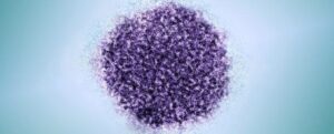 Virus dell'Epatite C