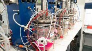 I microbi dell'ambiente aiutano gli scienziati a creare plastica che si scioglie di nuovo nella natura