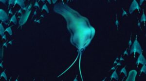 Teoria della Wormspiracy: i fossili della Groenlandia rivelano un'impostore calamaro di 500 milioni di anni
