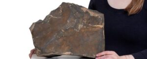 Una grande roccia su una panchina con mani che la tengono