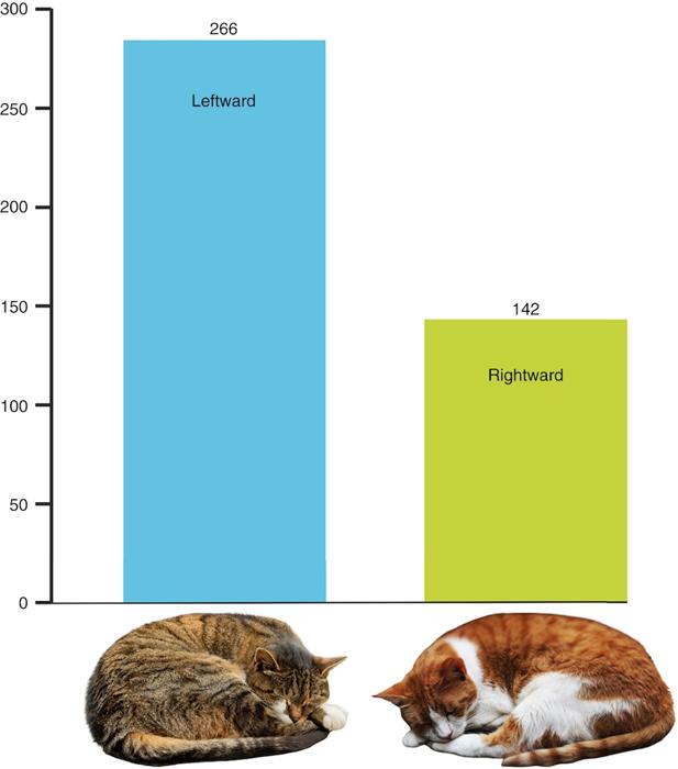 un grafico a barre che mostra che 266 gatti avevano una preferenza verso sinistra, mentre 142 avevano una preferenza verso destra.
