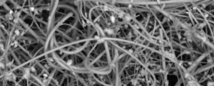 Uno studio rivela l'incredibile quantità di plastica che respiriamo ogni giorno