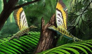 Impressione artistica di Mirasaura grauvogeli