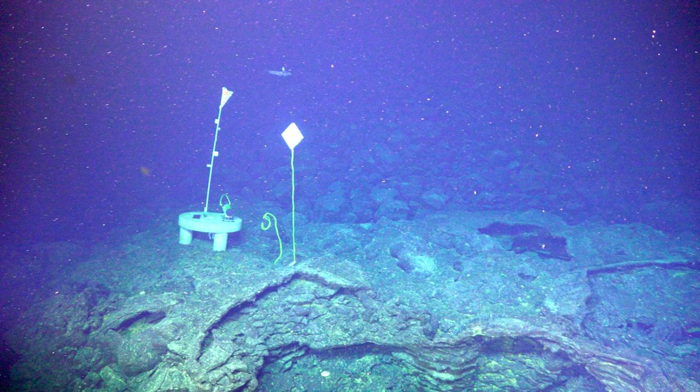Gadget scientifici alla base della parete della caldera occidentale del vulcano Axial Seamount.