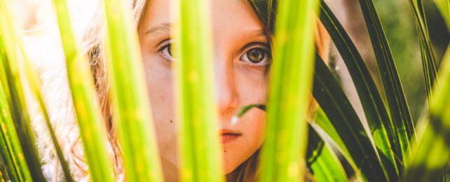 ChildLooksThroughFern-642x260-1.jpg