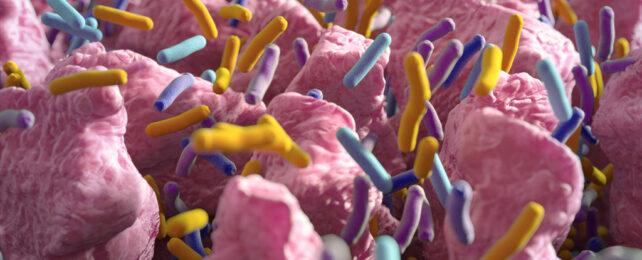 GutBacteria-642x260-1.jpg
