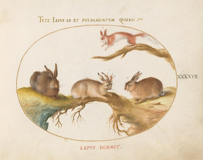 Dipinto storico di jackalope e conigli