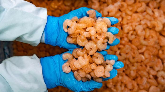 Gamberi radioattivi? Gli Stati Uniti bloccano un importante fornitore indonesiano dopo l'allerta sul cesio-137