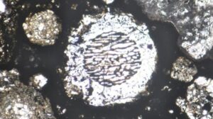 ‘Le gocce di roccia fusa’ rivelano che Giove si è formato 1,8 milioni di anni dopo il sistema solare