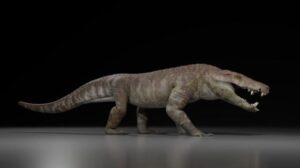 Il fossile rivela un feroce cugino coccodrillo con mascelle abbastanza potenti da cacciare i dinosauri