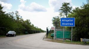 Il giudice ferma i piani di detenzione di Trump al centro Alligator Alcatraz a causa del rischio per la fauna selvatica
