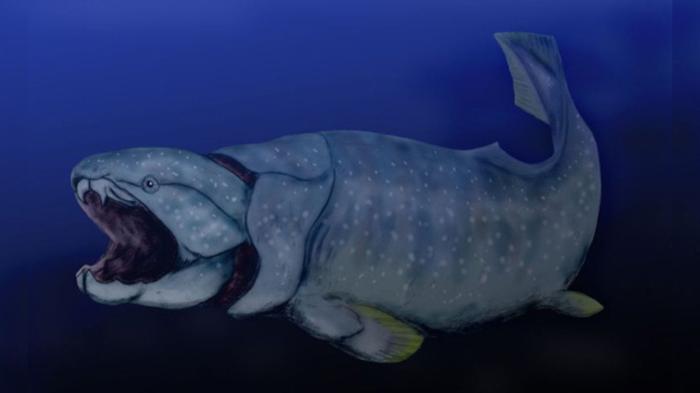 L'ascesa delle mascelle: Come l'aumento dell'ossigeno negli oceani profondi 390 milioni di anni fa ha rimodellato la vita