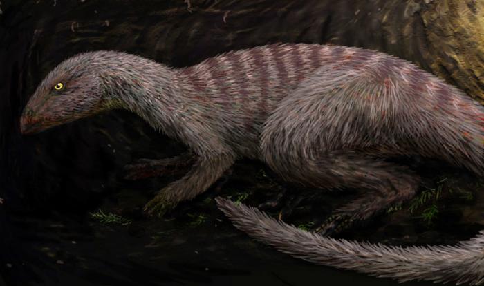 Restaurazione della vita di Oryctodromeus all'interno di una tana.