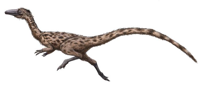 Restaurazione della vita di Podokesaurus holyokensis