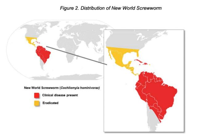 Grafico che mostra la diffusione della mosca screwworm del Nuovo Mondo