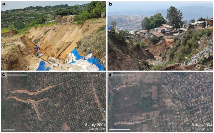 A: Un inghiottitoio a Kinshasa nel novembre 2019. B: Un altro inghiottitoio a Bukavu nel luglio 2021. C e D: Immagini di Google Earth di inghiottitoi urbani a Kikwit (8 luglio 2004). 